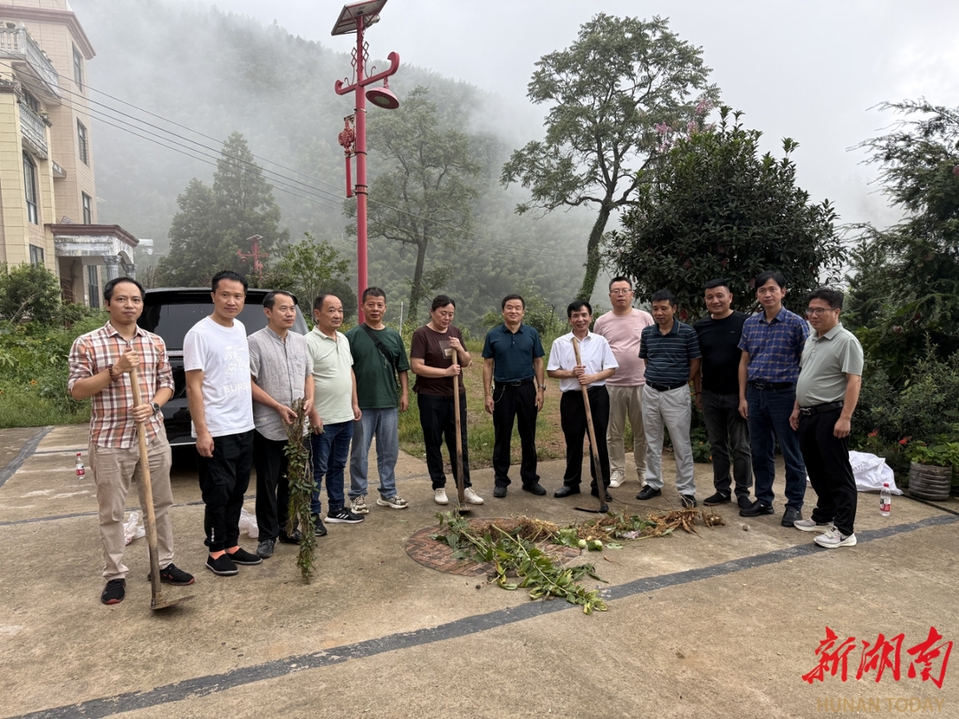 祁东县中医医院赴四明山开展药用植物采集活动 助力中医药文化传承