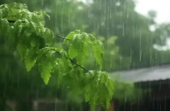 明后天北方迎降雨最强时段 南方“秋老虎”陆续返场 天气速览