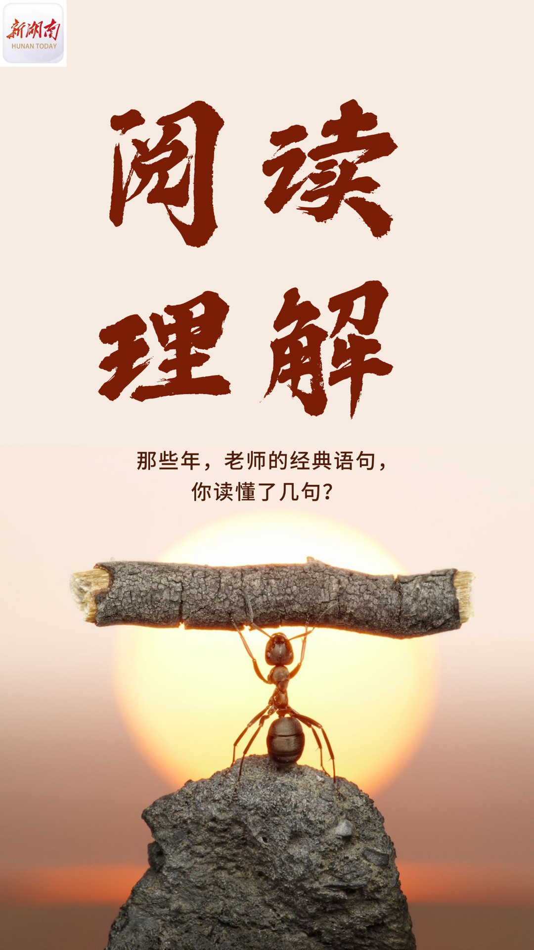 教師節(jié)海報(bào)丨今天一起來做閱讀理解