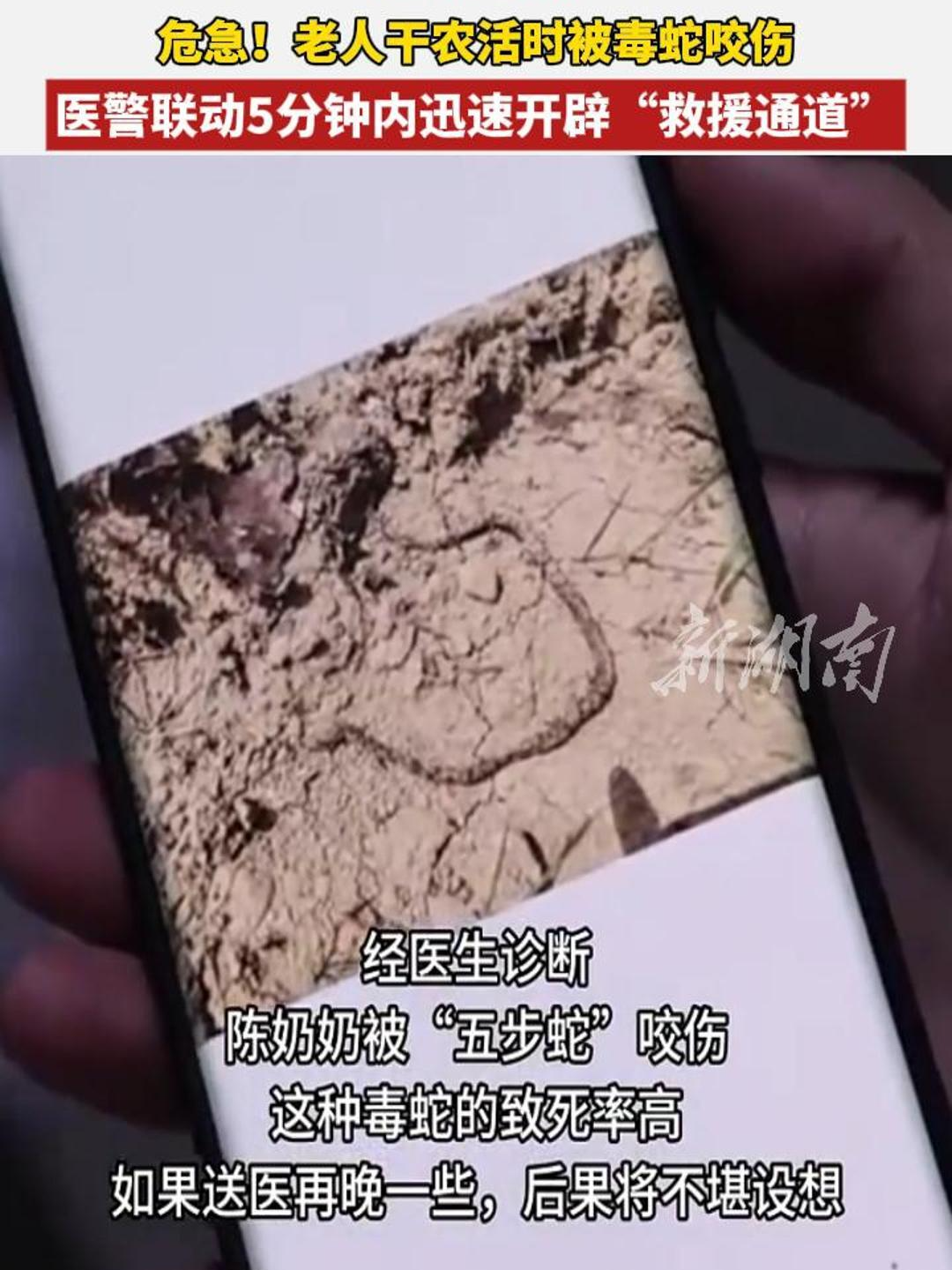 江華一老人干農(nóng)活時(shí)被毒蛇咬傷 醫(yī)警聯(lián)動(dòng)五分鐘內(nèi)開辟“救援通道”