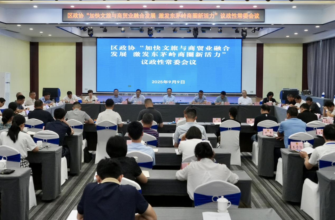 白再興出席區(qū)政協(xié)專題議政性常委會會議