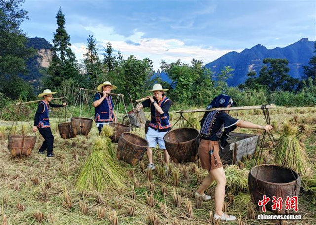 Foreign Tourists Embrace Diversified Tourism Options in Zhangjiajie
