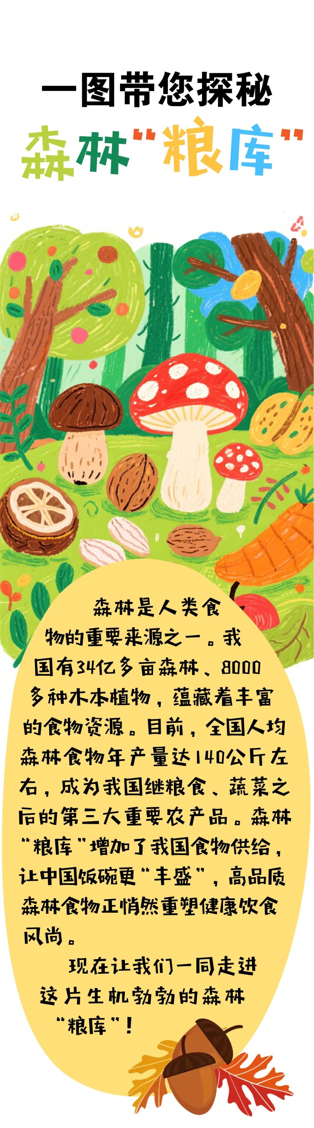 一圖探秘“森林糧庫”