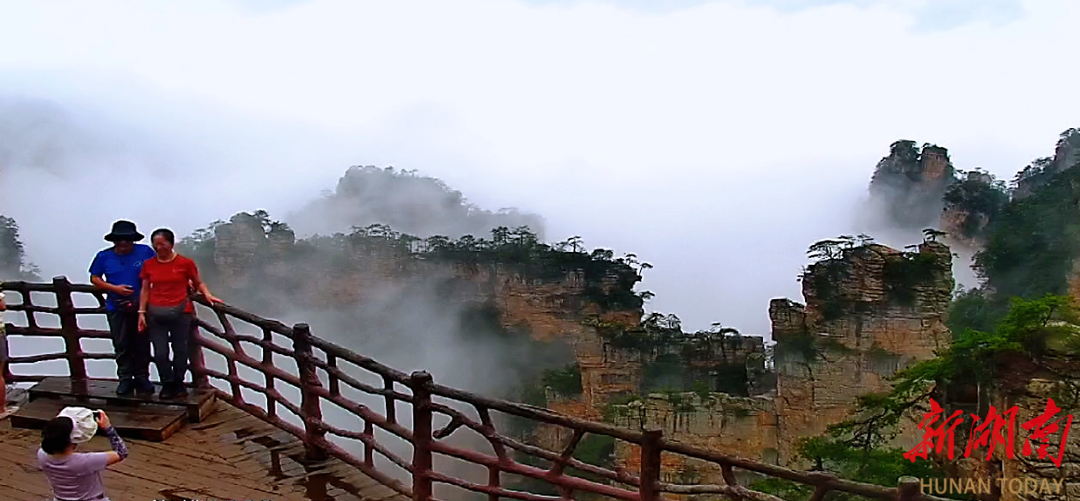 雨后杨家界云海翻涌，峰墙奇景引客来