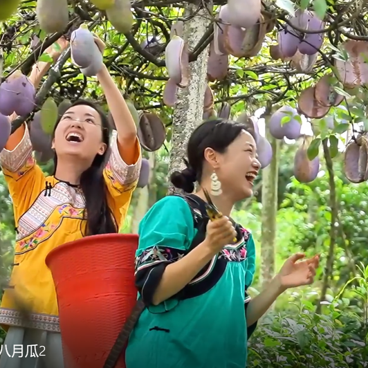 銀發(fā)力量⑩｜銀發(fā)丹心映茶鄉(xiāng)——古丈“五老”的雙線使命