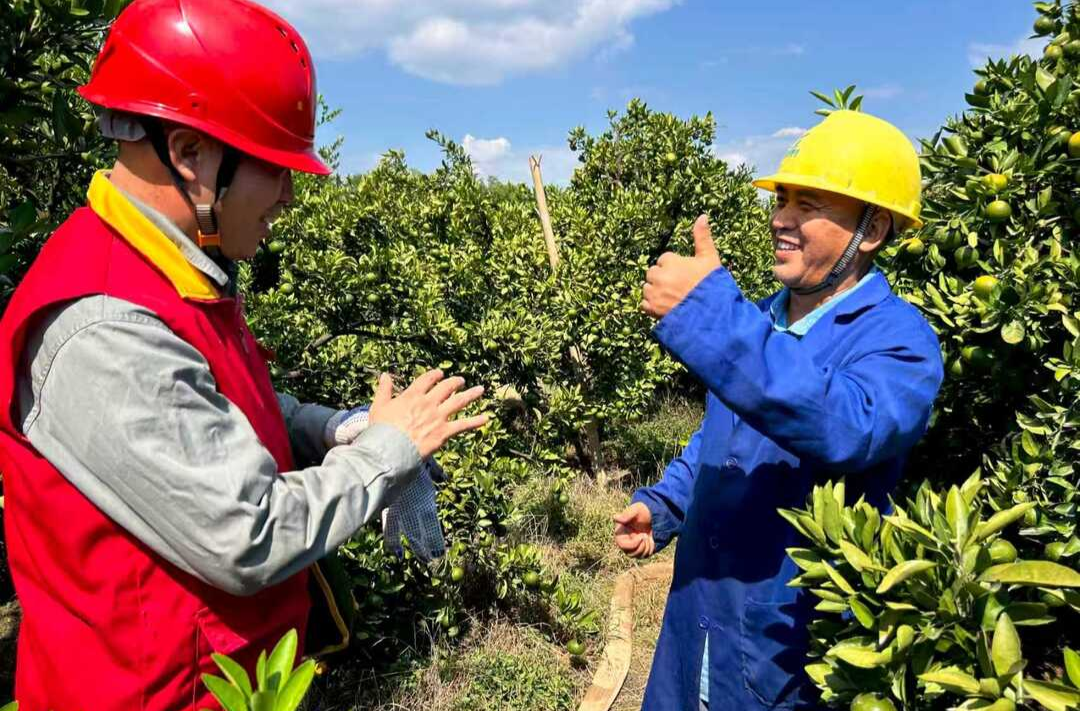 國網(wǎng)邵陽供電公司，電力賦能鸕鶿村“甜蜜事業(yè)”|湖南日報