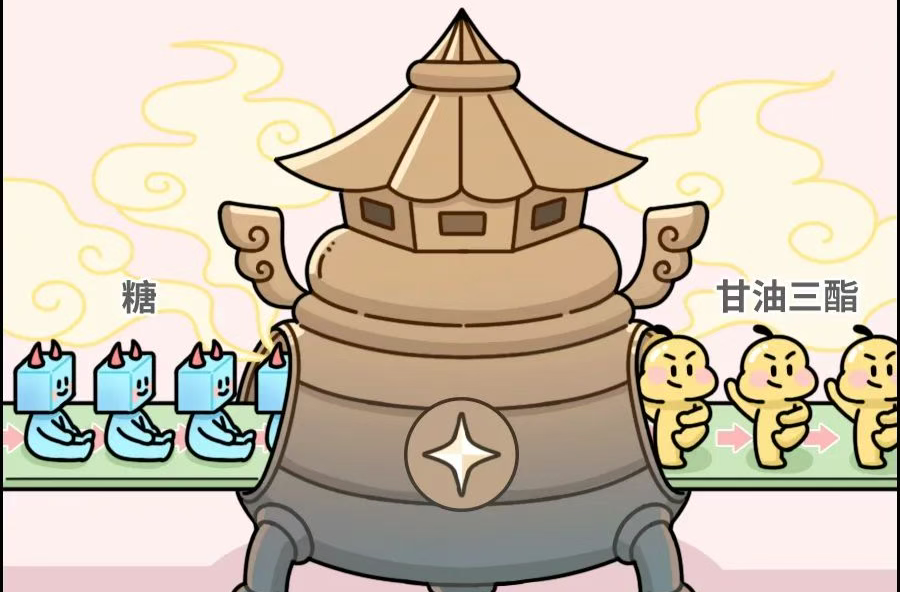 喝下去的糖VS吃下去的糖 哪個更傷身？