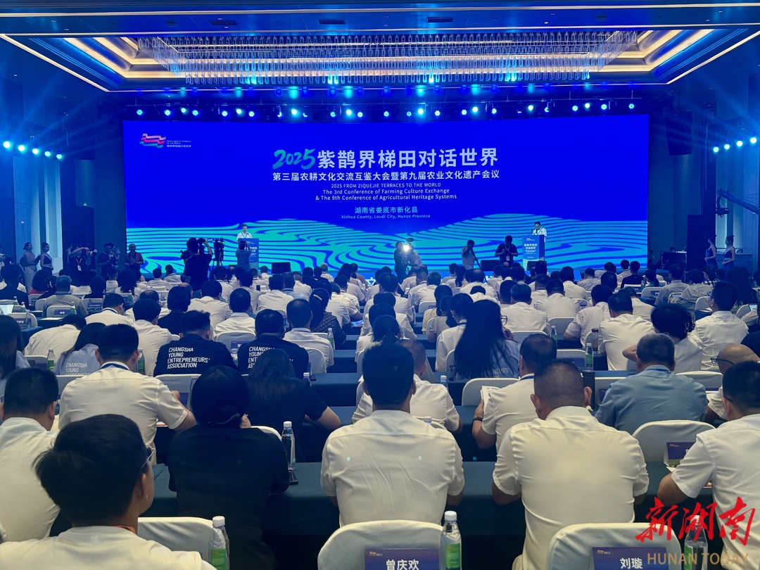視頻|紫鵲界梯田對話世界，在新化開幕