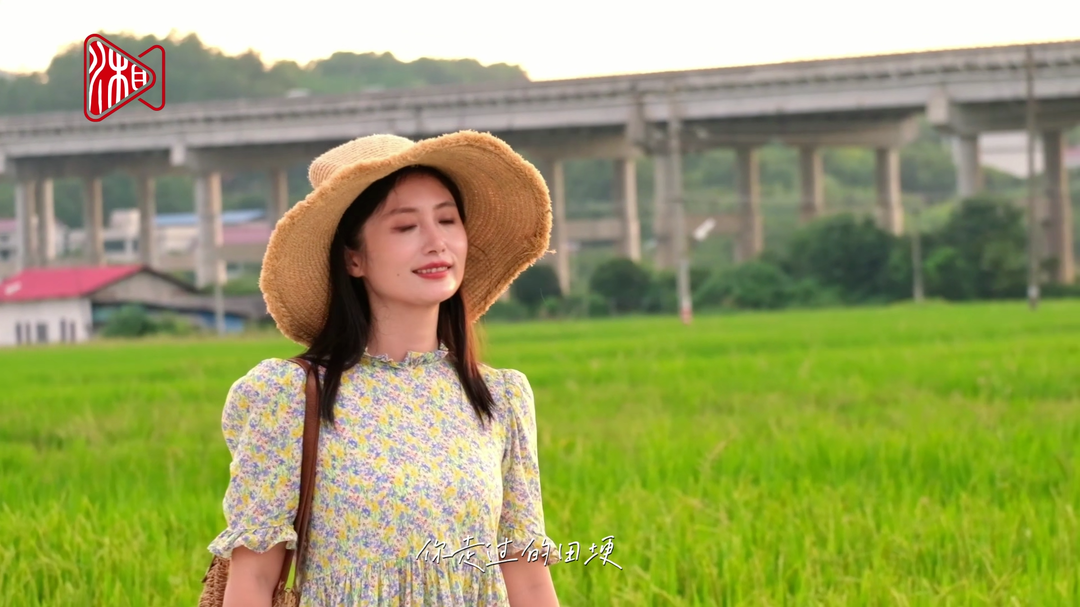 視頻|婁星區(qū)的秋天，風(fēng)里裹著稻香