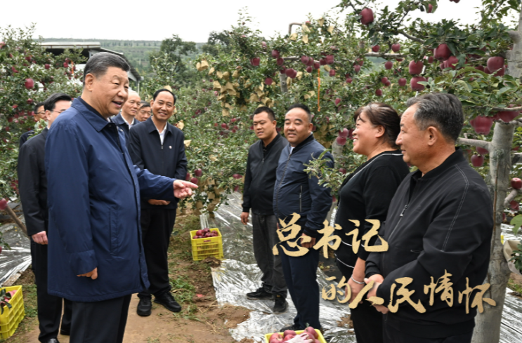 总书记的人民情怀丨“以加快农业农村现代化更好推进中国式现代化建设”