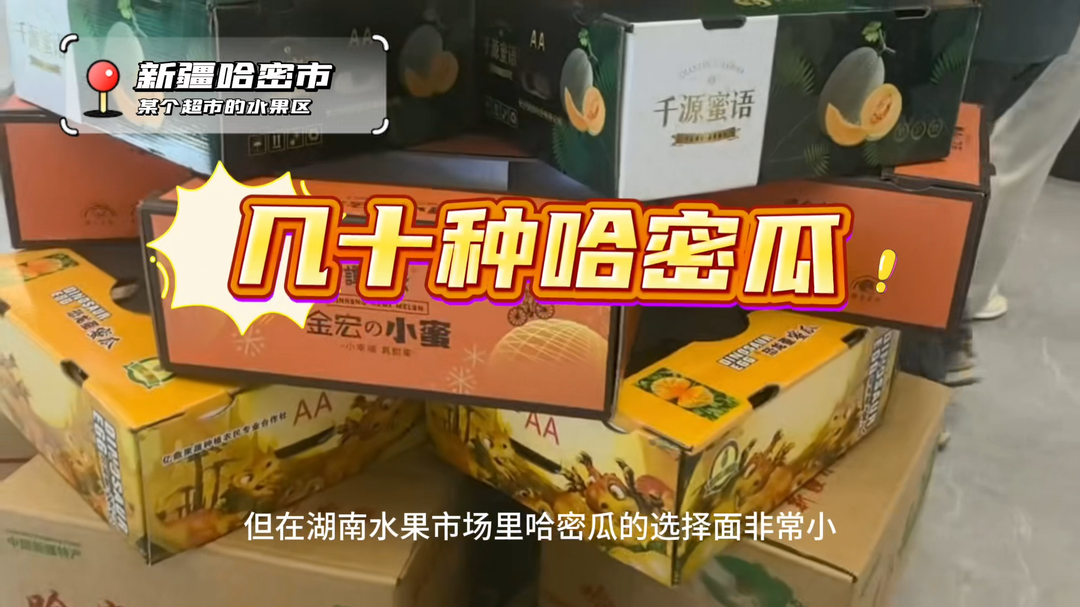 砥礪奮進七十載 天山南北譜華章｜“湖南朋友，你們想吃什么口味的哈密瓜”