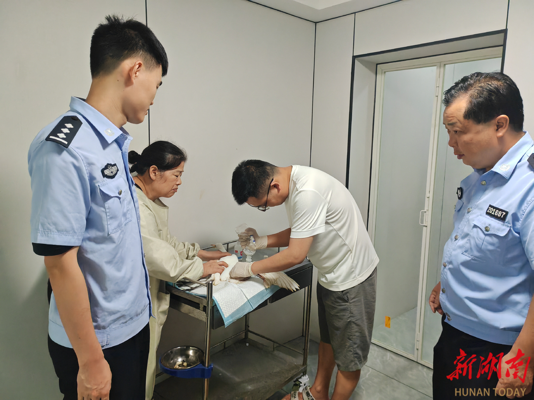 津市警民攜手救助受傷白鷺