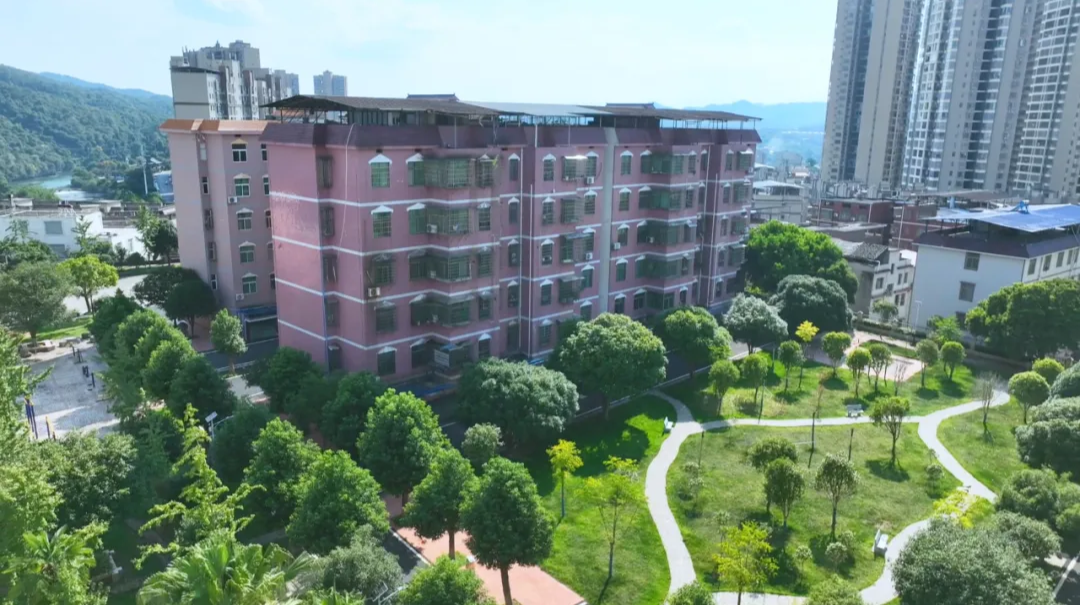 民生温度+科技高度+交通速度，《乡见东安》全景记录城乡蝶变，解码发展密码