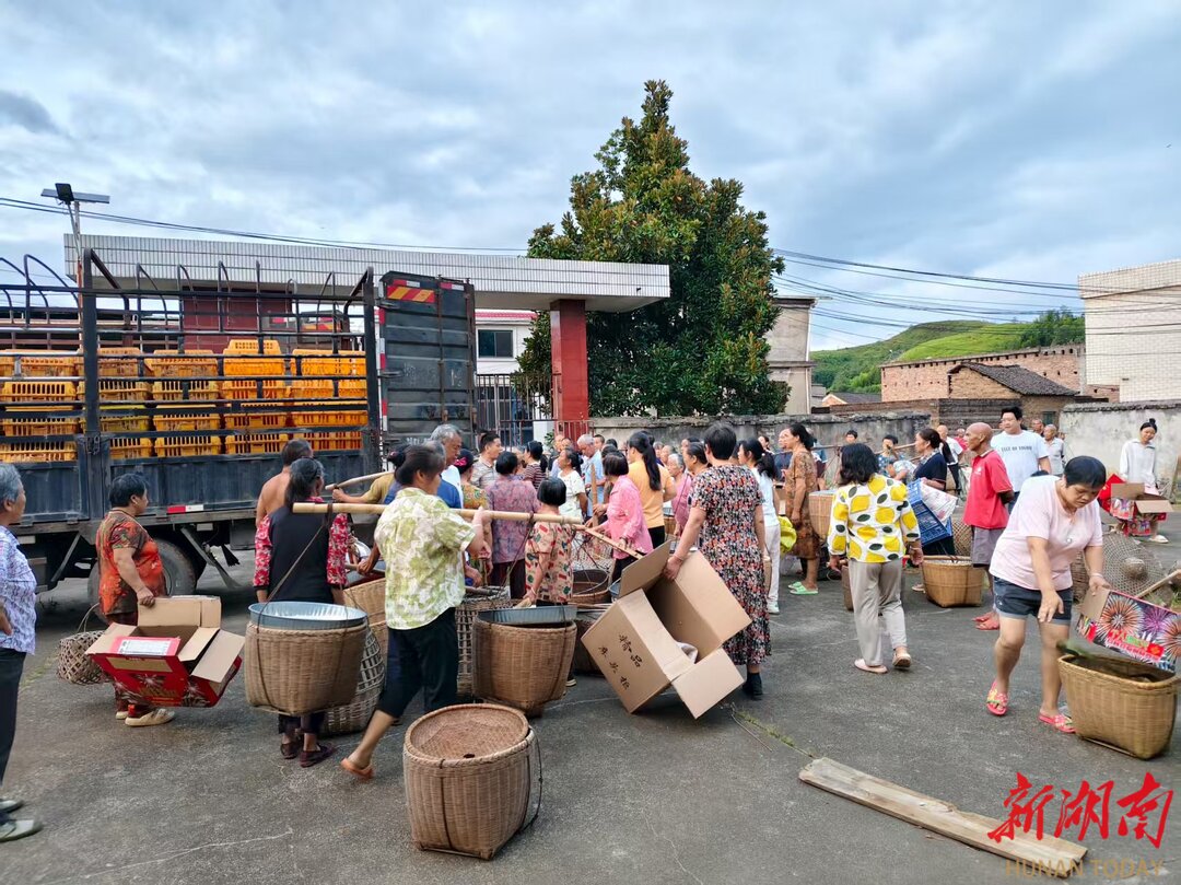 耒陽：發(fā)放萬羽雞苗 點亮庭院經(jīng)濟