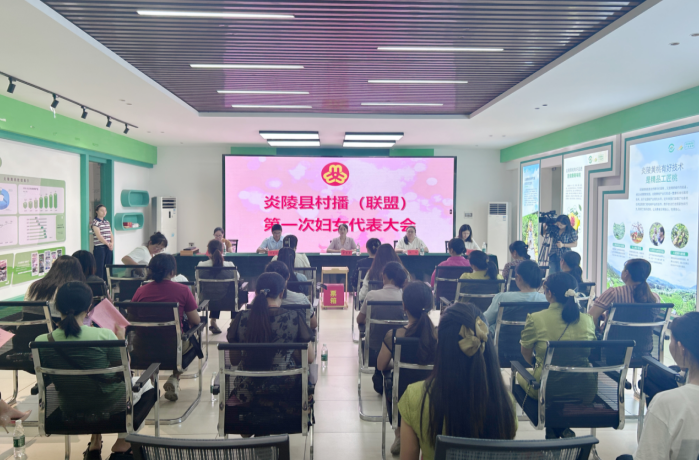 再添“新”力量，炎陵縣村播（聯(lián)盟）婦聯(lián)成立