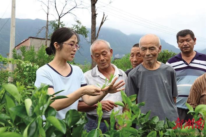 湘科普“四進(jìn)”走進(jìn)永定區(qū)