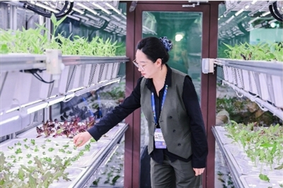 “每3度电就有1度绿电” 经济发展“含绿量”显著提升