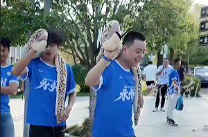 永州球迷们带“蛇”出征，张家界准备迎接我们的声浪吧！