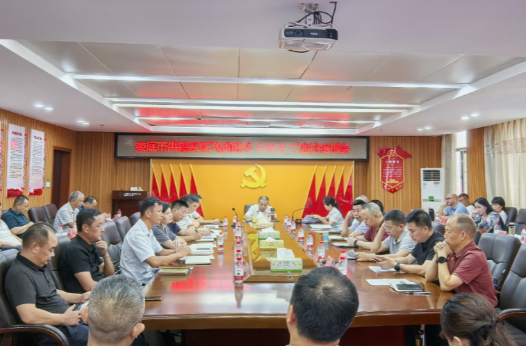 娄底市供销系统电商助农座谈培训汇聚发展合力