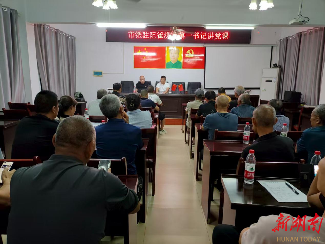既讲政策又分析产业发展，沅江阳雀洪村第一书记上党课干货满满