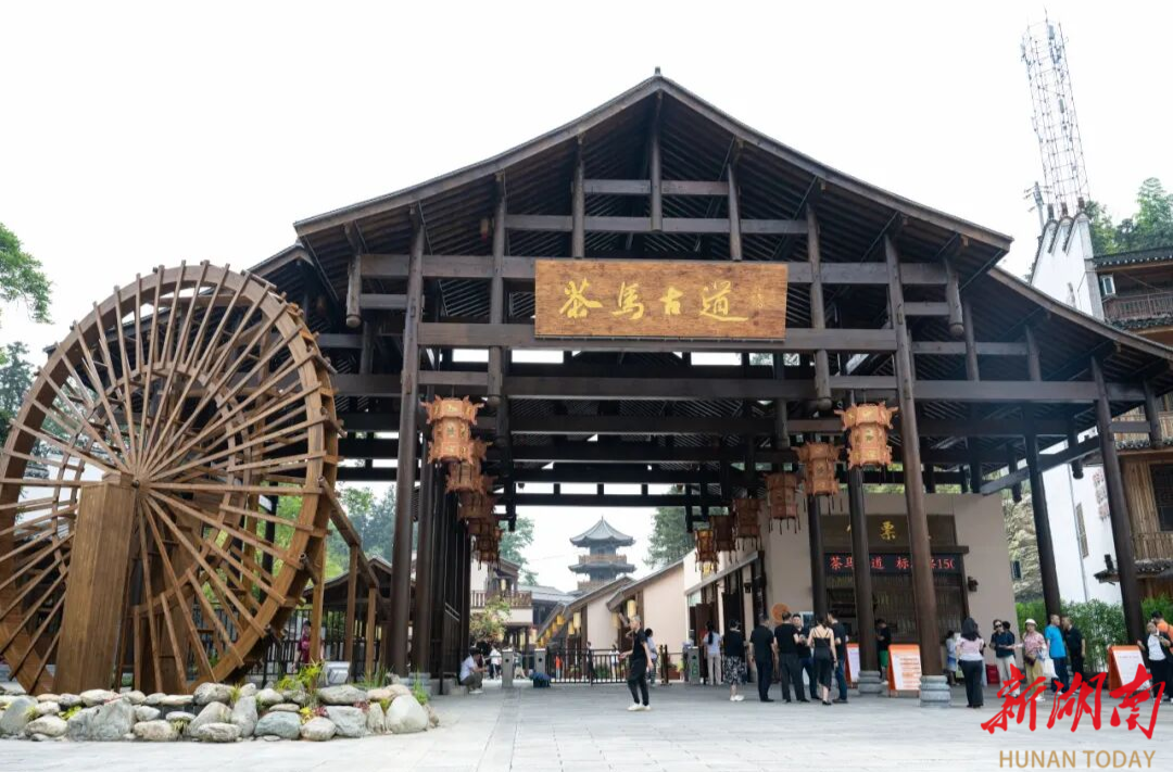 跟着“湘超”游益阳文旅优惠政策来了，一张球票畅享福利