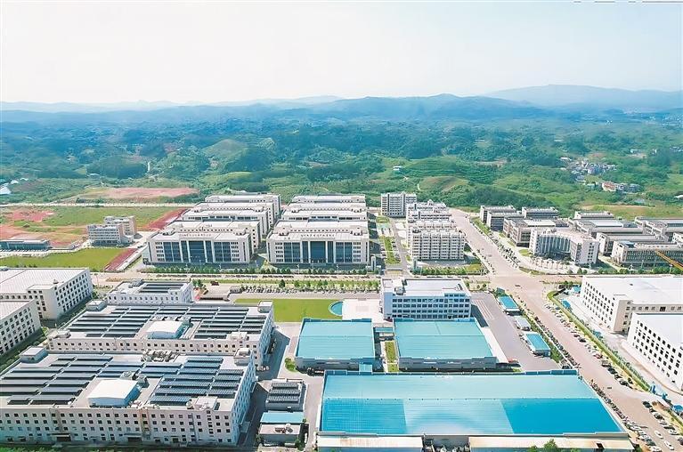 临武县：大学生返乡就业创业率不断攀升