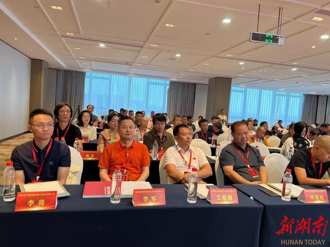 湖南省直书画家协会第八次会员代表大会召开 选举第八届主席团成员
