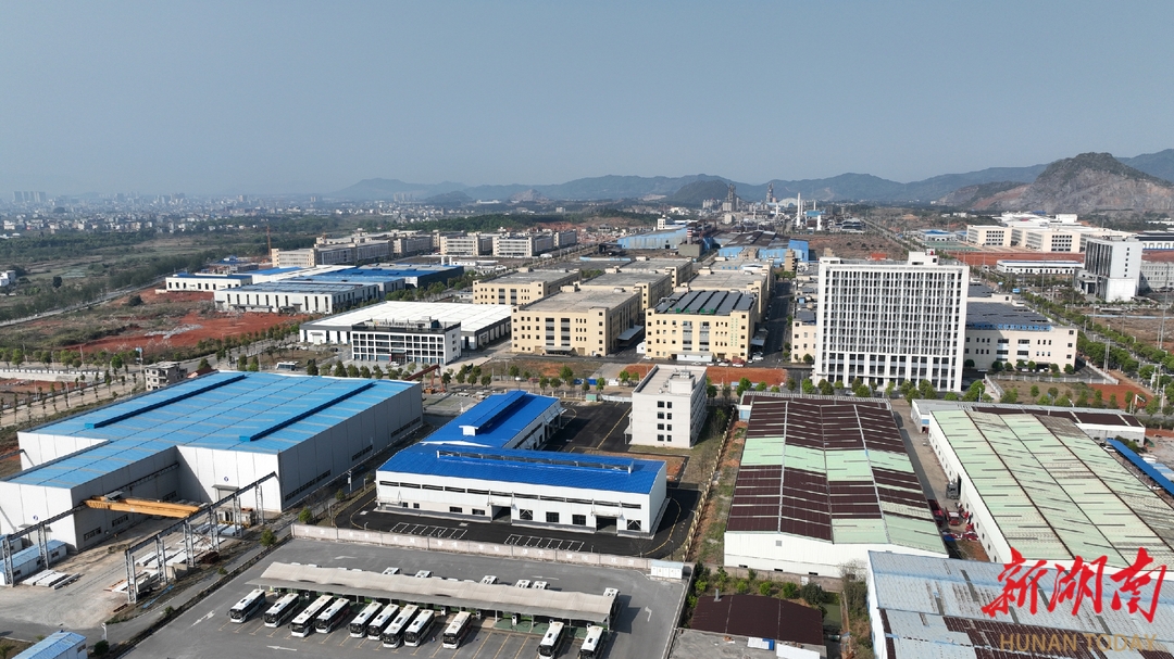 聚链成势  产业向前——永州市产业联盟建设工作纪实