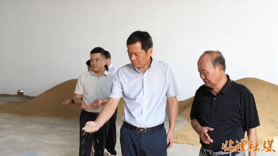 临澧：李雨初调研校园食品安全工作