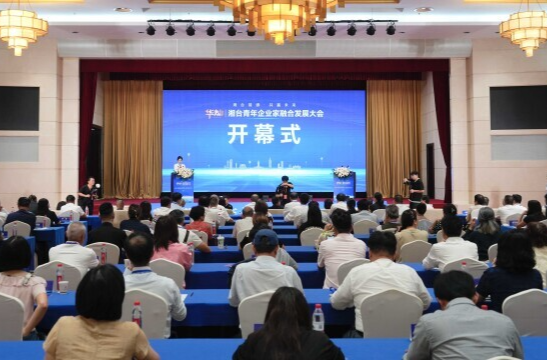 湘台青年企业家融合发展大会在长沙举行