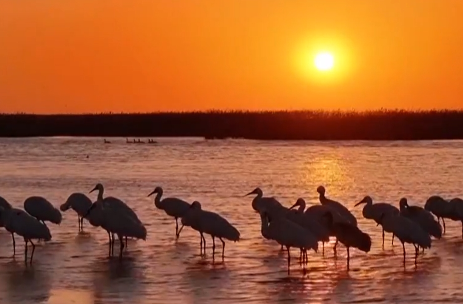 【新思想引领新征程】让母亲河永续惠泽子孙后代