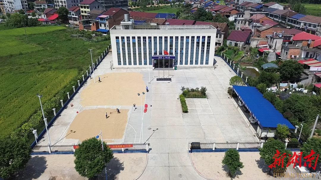秋收之际，桃江一派出所地坪变身晒谷场，民警邀约“乡亲们只管来晒谷”