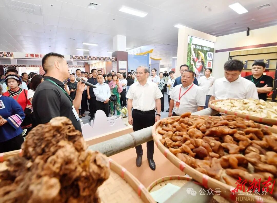 与会领导嘉宾观摩考察慈利文旅发展新成果新亮点