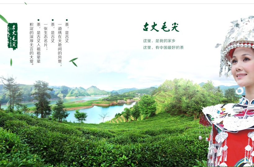 古丈毛尖入选2025湖南茶叶高质量发展“十大品牌”@湖南日报