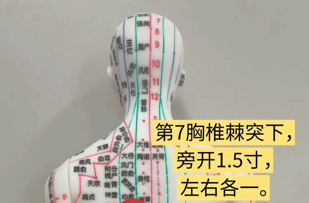 人体后背有一穴，可活血化瘀防大病，让全身气血动起来！