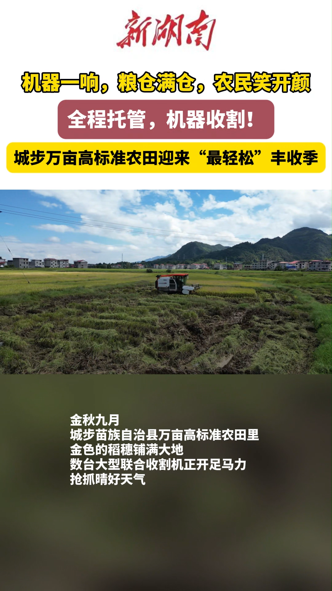 城步高标准农田稻浪翻涌 “全程托管”服务绘就现代“丰”景