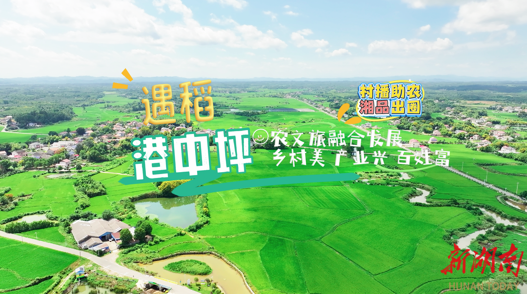 村播助农 湘品出圈 | “稻”港中，逛村趣