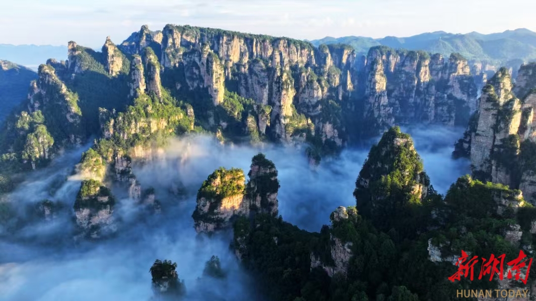 张家界鹞子寨景区：金秋日出云海同框 绘就多彩山水画卷