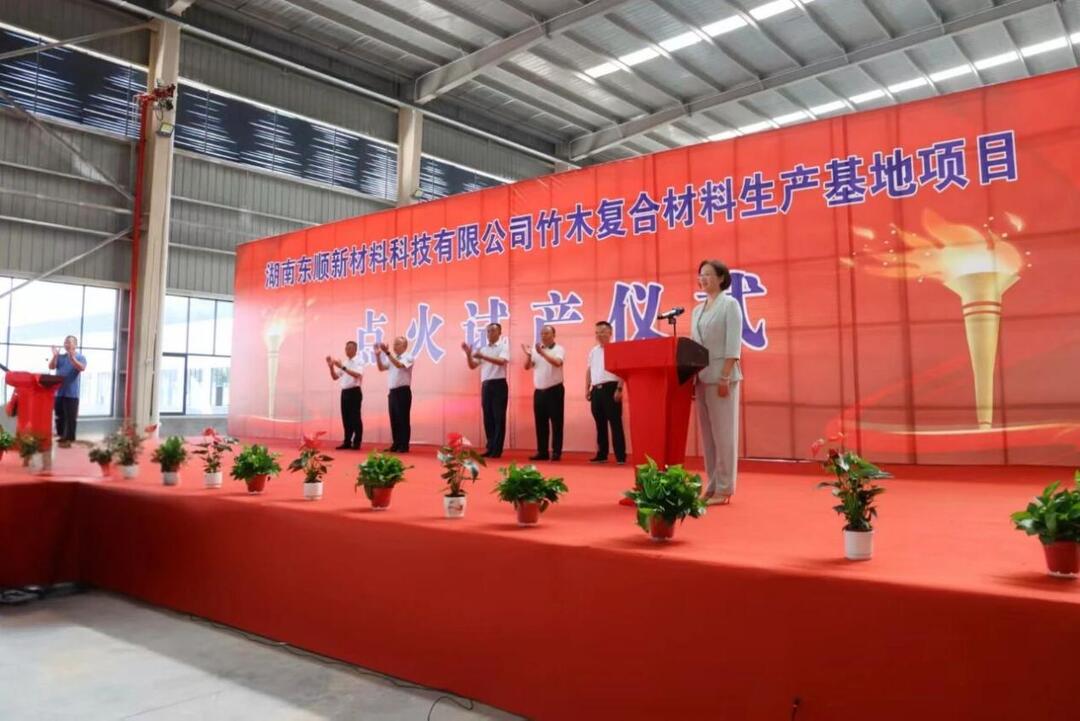 总投资3.8亿元，新邵首个竹木复合材料生产基地项目点火试产