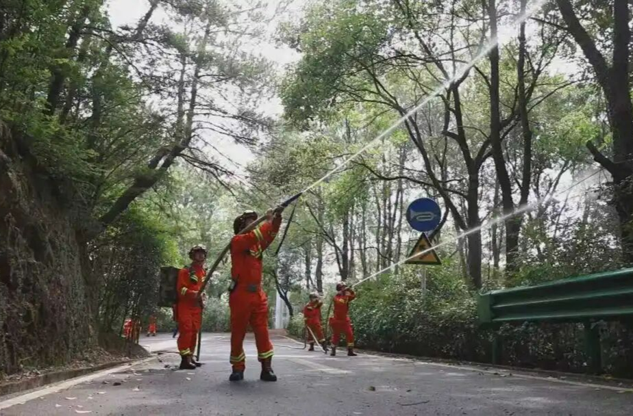 精准举措破难题，这个地方多维提升森林防灭火能力