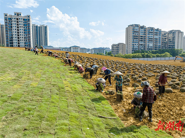 Idle Land Transformed into Pocket Parks in Jishou City