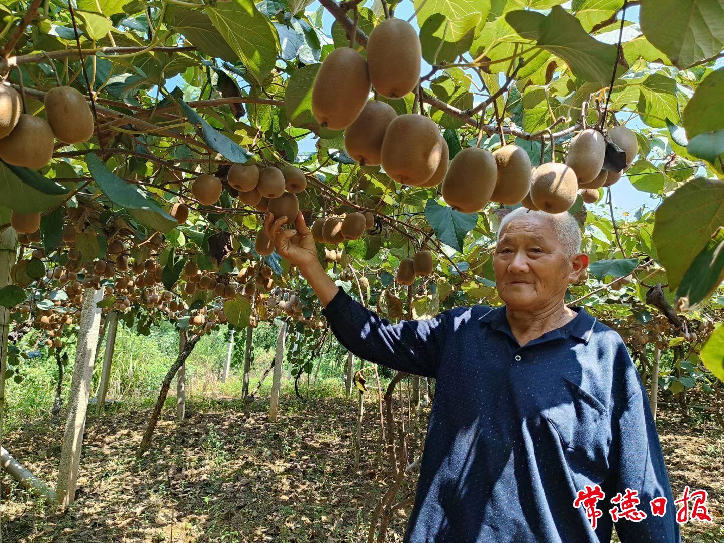 甜蜜的负担