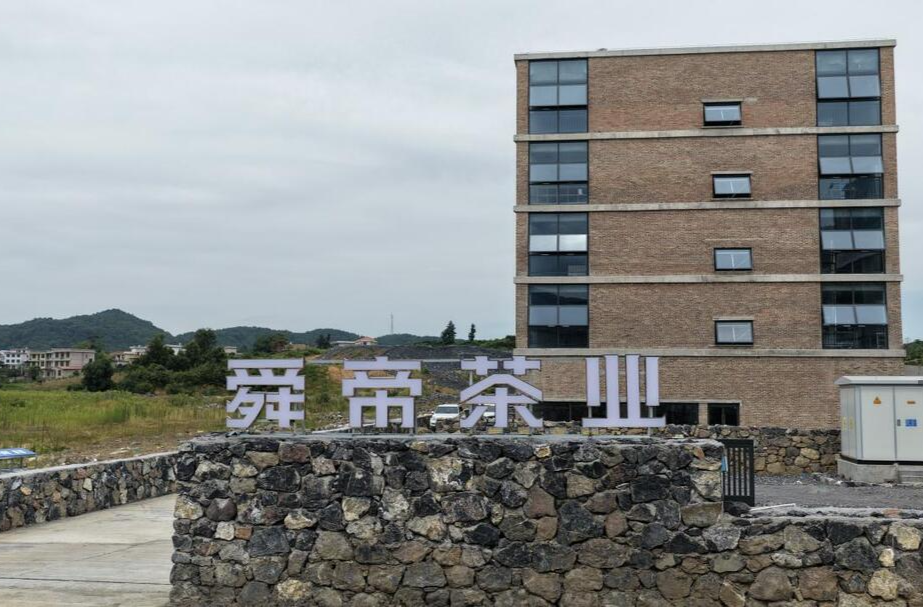 2025湖南茶叶高质量发展“十佳科技领军企业” 新宁舜帝茶业：一片野茶的千年守望，一个产业的振兴答案
