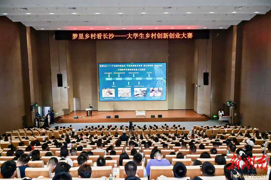 高校学子如何用知识玩转“新农业”——“梦里乡村看长沙”大学生乡村创新创业大赛决赛侧记