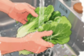 长图｜这些食品安全知识你知道吗？