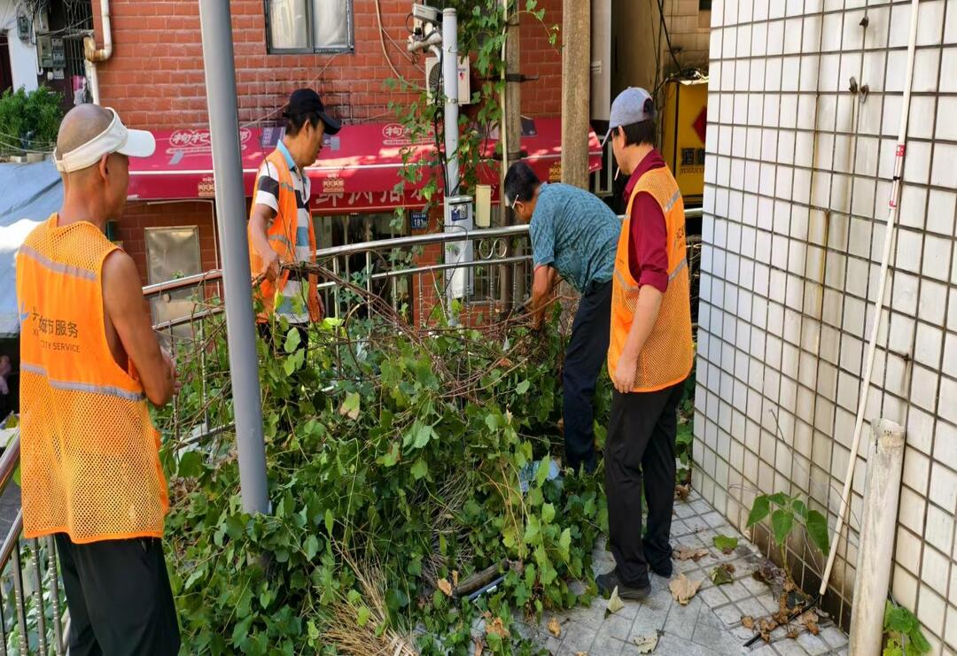 东瓜山社区：网格卫生大扫除 治理攻坚见实效