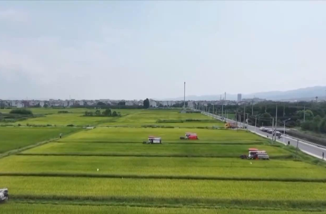 我国农业科技创新水平进入世界第一方阵