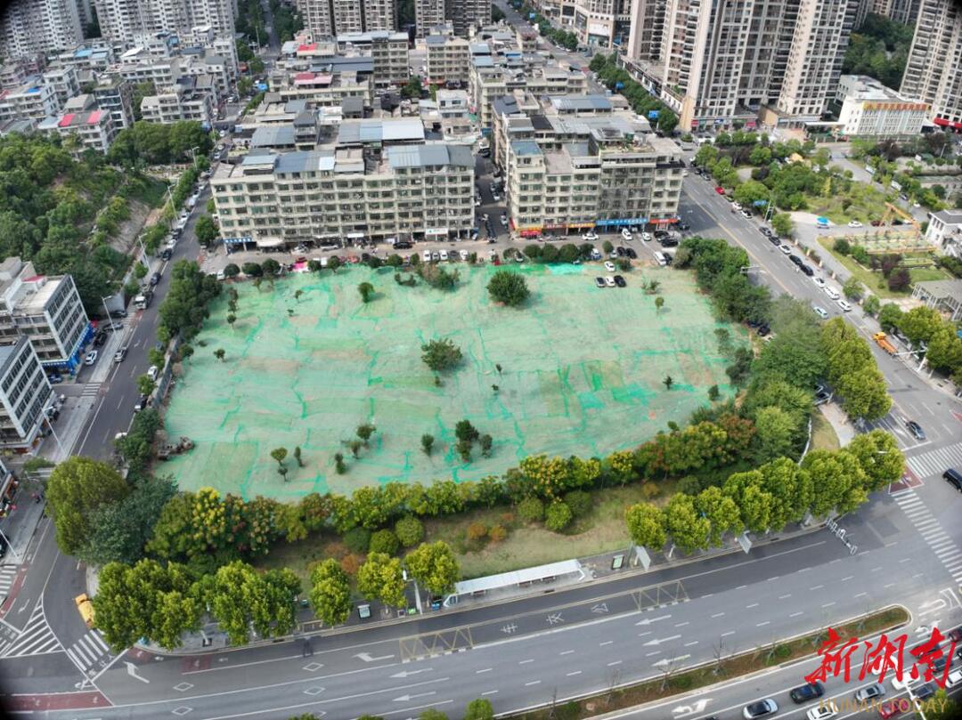 望城坡街道找问题抓整改，根治违规菜地脏乱难题