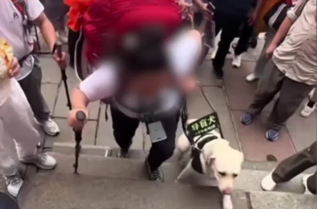 视频|盲人带导盲犬爬泰山引争议 导盲犬基地回应