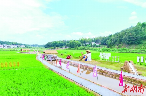 湖南日报特稿丨我在开慧有丘田 乡村日子有点甜